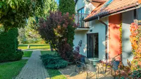 Jesienna wersja Ognistego Ptaka w Ogonkach, październik 2025 r. - zdjęcie 33