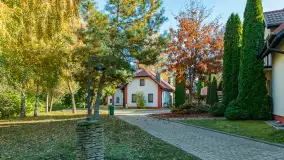 Jesienna wersja Ognistego Ptaka w Ogonkach, październik 2025 r. - zdjęcie 6