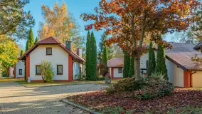 Jesienna wersja Ognistego Ptaka w Ogonkach, październik 2025 r. - zdjęcie 24