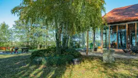 Jesienna wersja Ognistego Ptaka w Ogonkach, październik 2025 r. - zdjęcie 14