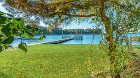 Jesienna wersja Ognistego Ptaka w Ogonkach, październik 2025 r. - zdjęcie 12