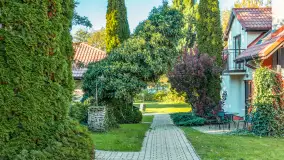 Jesienna wersja Ognistego Ptaka w Ogonkach, październik 2025 r. - zdjęcie 20