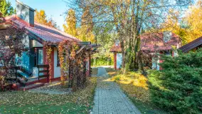 Jesienna wersja Ognistego Ptaka w Ogonkach, październik 2025 r. - zdjęcie 21