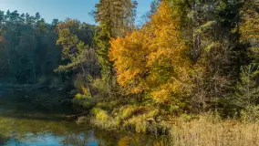 Jezioro Krutyńskie i Krutynia w jesiennej odsłonie, październik 2025 r. - zdjęcie 25