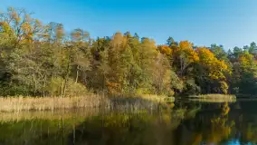 Jezioro Krutyńskie i Krutynia w jesiennej odsłonie, październik 2025 r. - zdjęcie 38