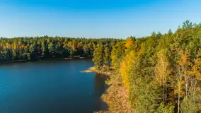 Jezioro Wesołek i puszcza Piska z drona, jesień 2025 r. - zdjęcie 31
