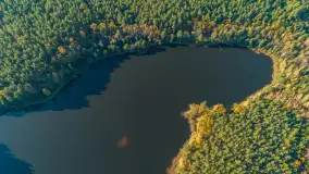 Jezioro Wesołek i puszcza Piska z drona, jesień 2025 r. - zdjęcie 9