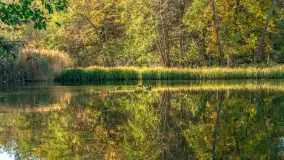 Jesień w Rezerwacie Przyrody Krutynia, październik 2025 r. - zdjęcie 19