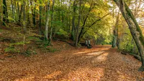 Jesień w Rezerwacie Przyrody Krutynia, październik 2025 r. - zdjęcie 8