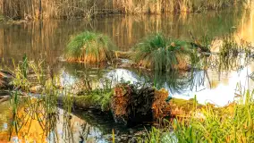 Jesień w Rezerwacie Przyrody Krutynia, październik 2025 r. - zdjęcie 15