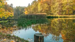 Jesień w Rezerwacie Przyrody Krutynia, październik 2025 r. - zdjęcie 68