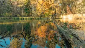 Jesień w Rezerwacie Przyrody Krutynia, październik 2025 r. - zdjęcie 38