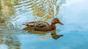 Jesień w Rezerwacie Przyrody Krutynia, październik 2025 r. - zdjęcie 49