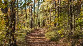 Mazurska jesień nad jeziorem Wesołek, październik 2025 r. - zdjęcie 35