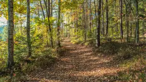 Mazurska jesień nad jeziorem Wesołek, październik 2025 r. - zdjęcie 8