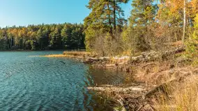 Mazurska jesień nad jeziorem Wesołek, październik 2025 r. - zdjęcie 17