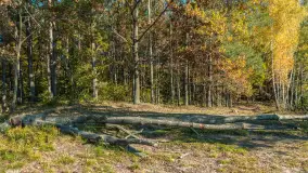 Mazurska jesień nad jeziorem Wesołek, październik 2025 r. - zdjęcie 14