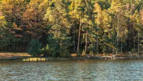 Mazurska jesień nad jeziorem Wesołek, październik 2025 r. - zdjęcie 25