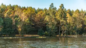 Mazurska jesień nad jeziorem Wesołek, październik 2025 r. - zdjęcie 41