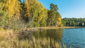 Mazurska jesień nad jeziorem Wesołek, październik 2025 r. - zdjęcie 42