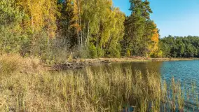 Mazurska jesień nad jeziorem Wesołek, październik 2025 r. - zdjęcie 34