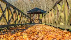 Spacer po Lesie Miejskim w Giżycku, listopad 2025 r. - zdjęcie 7