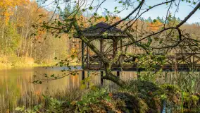 Spacer po Lesie Miejskim w Giżycku, listopad 2025 r. - zdjęcie 16