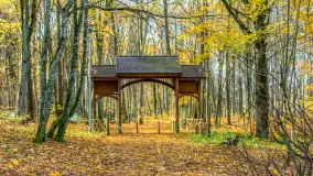 Spacer po Lesie Miejskim w Giżycku, listopad 2025 r. - zdjęcie 10