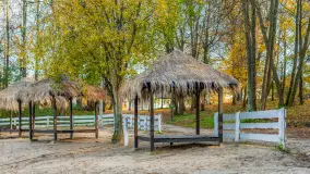 Jesień w Boyen Water Park, po lecie już tylko spacery... - zdjęcie 15