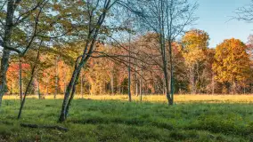 Jesień w Rezerwacie Przyrody Sztynort, październik 2025 r. - zdjęcie 15