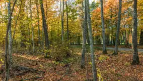 Jesień w Rezerwacie Przyrody Sztynort, październik 2025 r. - zdjęcie 44