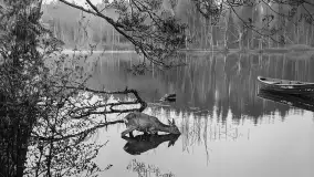 Wkrótce ożywimy AI pocztówki ze Szczytna / Ortelsburg - zdjęcie 36