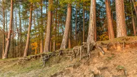 Zachód słońca nad jeziorem Gołdopiwo, listopad 2025 r. - zdjęcie 7