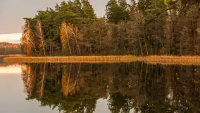 Zachód słońca nad jeziorem Gołdopiwo, listopad 2025 r. - zdjęcie 12