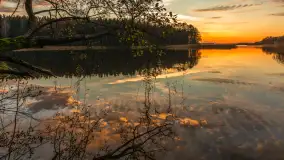 Zachód słońca nad jeziorem Gołdopiwo, listopad 2025 r. - zdjęcie 9