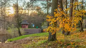 Końcówka mazurskiej, złotej jesieni, listopad 2025 r. - zdjęcie 5