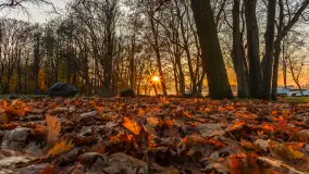 Zachód słońca, końcówka kolorów jesieni w Sztynorcie, listopad 2025 r. - zdjęcie 8