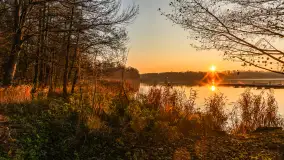 Zachód słońca, końcówka kolorów jesieni w Sztynorcie, listopad 2025 r. - zdjęcie 5