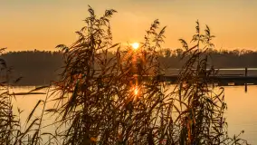 Zachód słońca, końcówka kolorów jesieni w Sztynorcie, listopad 2025 r. - zdjęcie 40