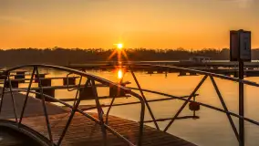 Zachód słońca, końcówka kolorów jesieni w Sztynorcie, listopad 2025 r. - zdjęcie 2