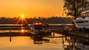 Zachód słońca, końcówka kolorów jesieni w Sztynorcie, listopad 2025 r. - zdjęcie 16