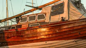 Zachód słońca, końcówka kolorów jesieni w Sztynorcie, listopad 2025 r. - zdjęcie 35