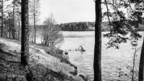 Wkrótce ożywimy AI pocztówki z Rucianego Nidy / Niedersee, wracamy do przeszłości - zdjęcie 76