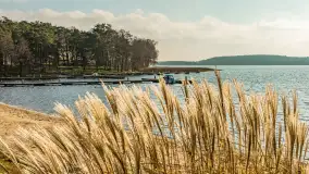 Końcówka jesieni w Pięknym Brzegu, nad jeziorem Święcajty, listopad 2025 r. - zdjęcie 36