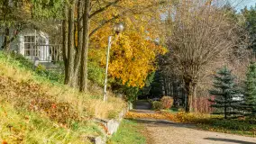 Końcówka jesieni w Pięknym Brzegu, nad jeziorem Święcajty, listopad 2025 r. - zdjęcie 30