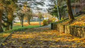 Końcówka jesieni w Pięknym Brzegu, nad jeziorem Święcajty, listopad 2025 r. - zdjęcie 2