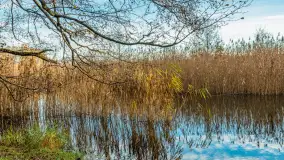 Końcówka jesieni przy śluzie Przerwanki, listopad 2025 r. - zdjęcie 4