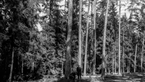 Wkrótce ożywimy AI pocztówki z Pisza / Johannisburg, wracamy do przeszłości - zdjęcie 6