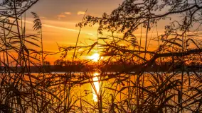 Zachód słońca nad jeziorem Niegocin, listopad 2025 r. - zdjęcie 19