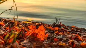 Zachód słońca nad jeziorem Niegocin, listopad 2025 r. - zdjęcie 16